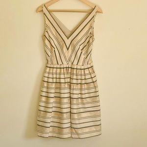 Women’s Khaki Mini Dress with Gold & Blue Striped Detail